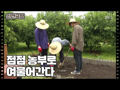 [귤 밭으로 간 <strong>한의사</strong>] (9/15) [인간극장/Screening Humanity] | KBS 230426 방송