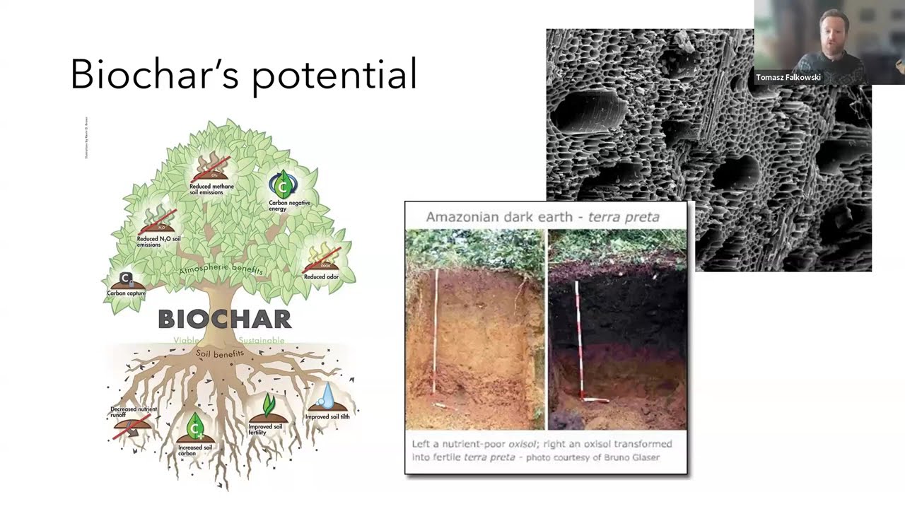 Biochar production to reduce wildfire risk & bolster rural economies: A New Mexico case study