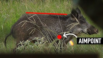 JUMPING THE STRING! - Can Fast Arrows BEAT a DEER or PIG? 🏹 🦌