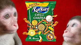 satisfying video!baby monkey opening the kur kure cilli eating asmr
