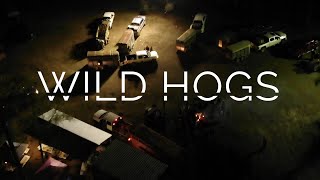 OJTV Wild Hogs with dogs