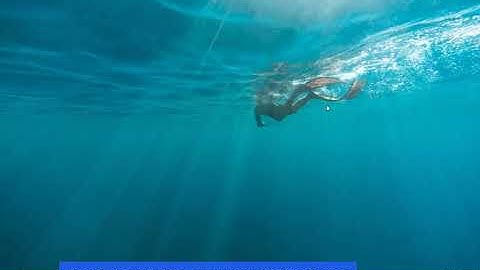 Tally Prime Email Setup with Password Save and Auto Backup