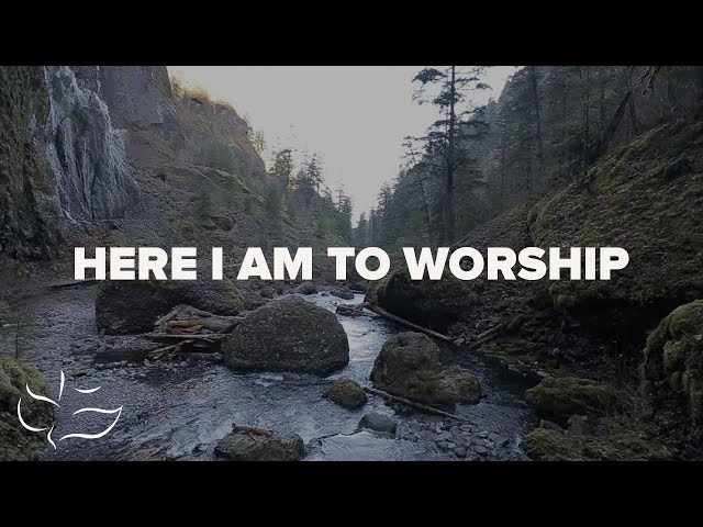 Here I Am To Worship | Maranatha! Music (Lyric Video) class=