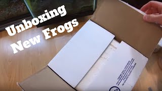 UNBOXING VIDEO!! New frogs to add to the collection