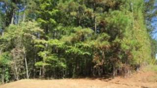 Homes for Sale - Lot 19 N. Steel Bridge Rd., Eatonton, GA