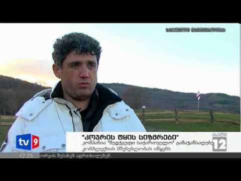 ახალი 12 | კოჯრის ტყე | 28.11.12
