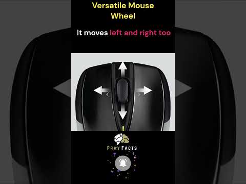 🖱️🔄 Mouse Wheel Magic: A Scroll in Every Direction! 🌟🔀 #amazing #amazingfacts #viral #facts #shorts