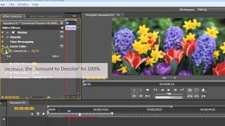 How to use the Leave Color Effect in Adobe Premier