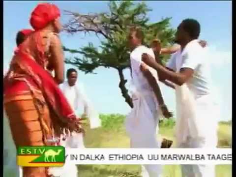 ogaden dhaanto