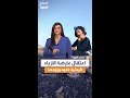 بعد ظهورها في صور بدون حجاب اعتقال عارضة أزياء يمنية وزوجها