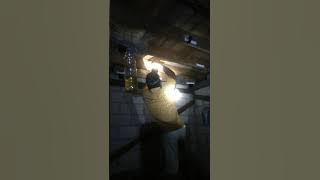 Suara inap walet birahi full