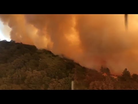 וִידֵאוֹ: קהילות מתכנסות יחד כדי לעזור לבעלי חיים העקורים על ידי שריפות קליפורניה