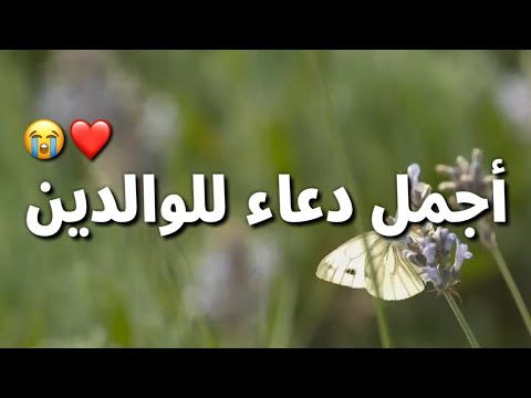 أجمل دعاء للوالدين أجمل حالات واتس ادعية دينية مقاطع انستغرام استوريات