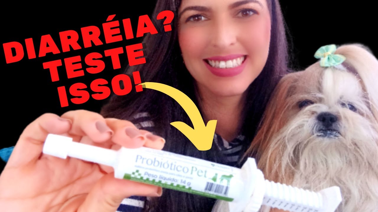 O QUE É PROBIÓTICO PET *Cuide do SEU CACHORRO com DIARRÉIA em CASA ...