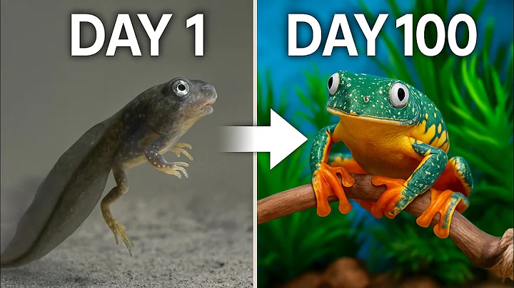 Raising Tadpoles into Rarest Tree Frogs – 100 Days journey