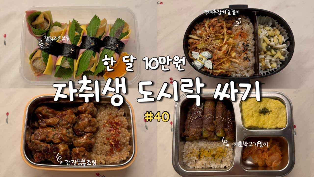 [한 달 10만 원 도시락 💸] 도시락싸며 마무리하는 자취생의 저녁 일상 🍱 | 애호박고기말이, 참치미역죽, 컵누들순찌, 간장 닭봉 조림 등