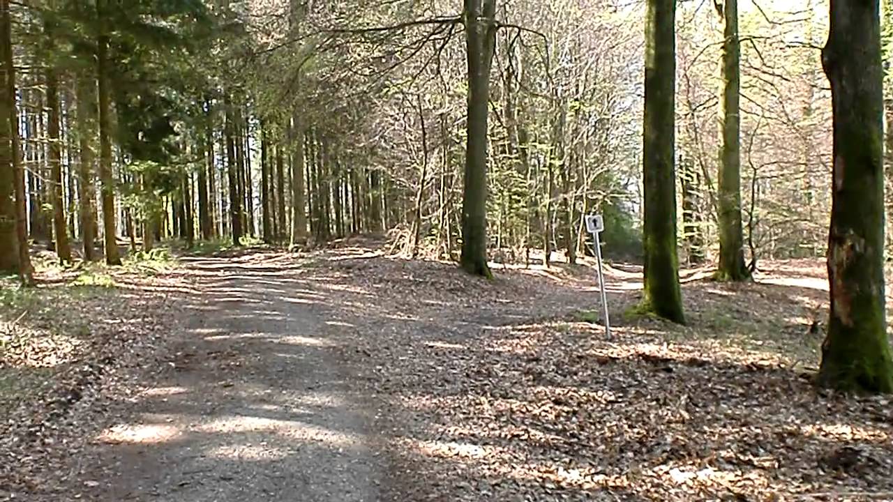 Am Rande des Ferschweiler Plateaus