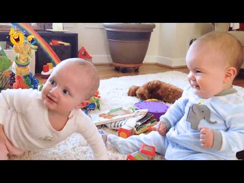 Try Not To Laugh 😂Best Funny Baby And Siblings Moments Found On Internet😂 Funny Baby Videos