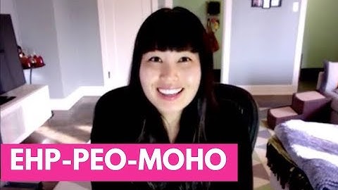 BRIEF intro: EHP-PEO-MOHO models | OT MIRI