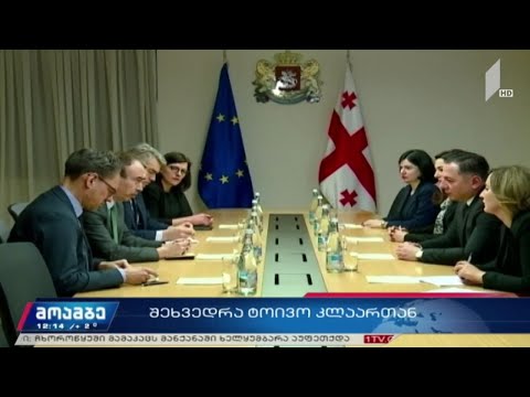 ვახტანგ გომელაური ტოივო კლაარს შეხვდა