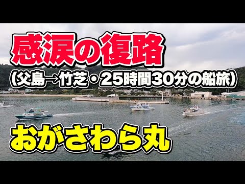 おがさわら丸（特等室）・感動の父島出港と、悪夢の揺れ。25時間30分のフェリー旅乗船記録【エンイチぶらり旅】