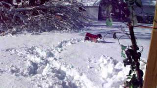 MOVIE-Blizzard2011 020.avi