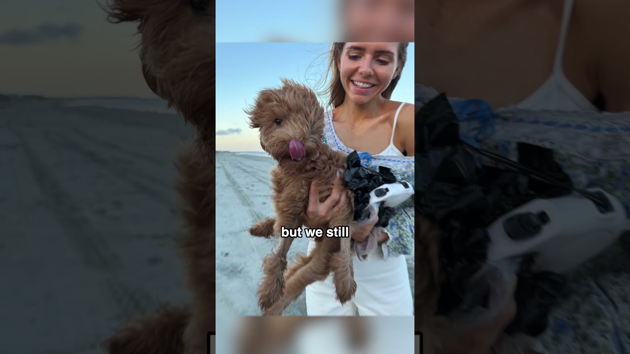 Latest Title & Thumbnail