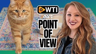 Download Lagu Lovewag kattenbakmat | POV | Zou je het kopen? MP3 Download Lagu Lovewag kattenbakmat | POV | Zou je het kopen? MP3