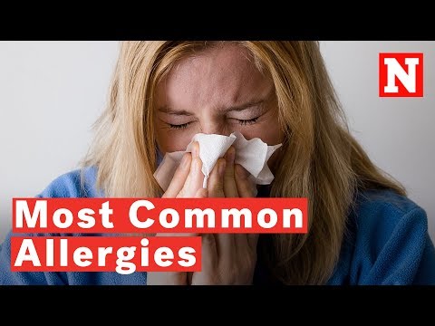 10 Types Of Common Allergies