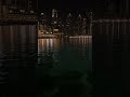 #travel #dubai #uae #nightlifedubai #life #shorts
