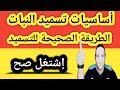 أساسيات تسميد النبات والطريقة الصحيحة للتسميد