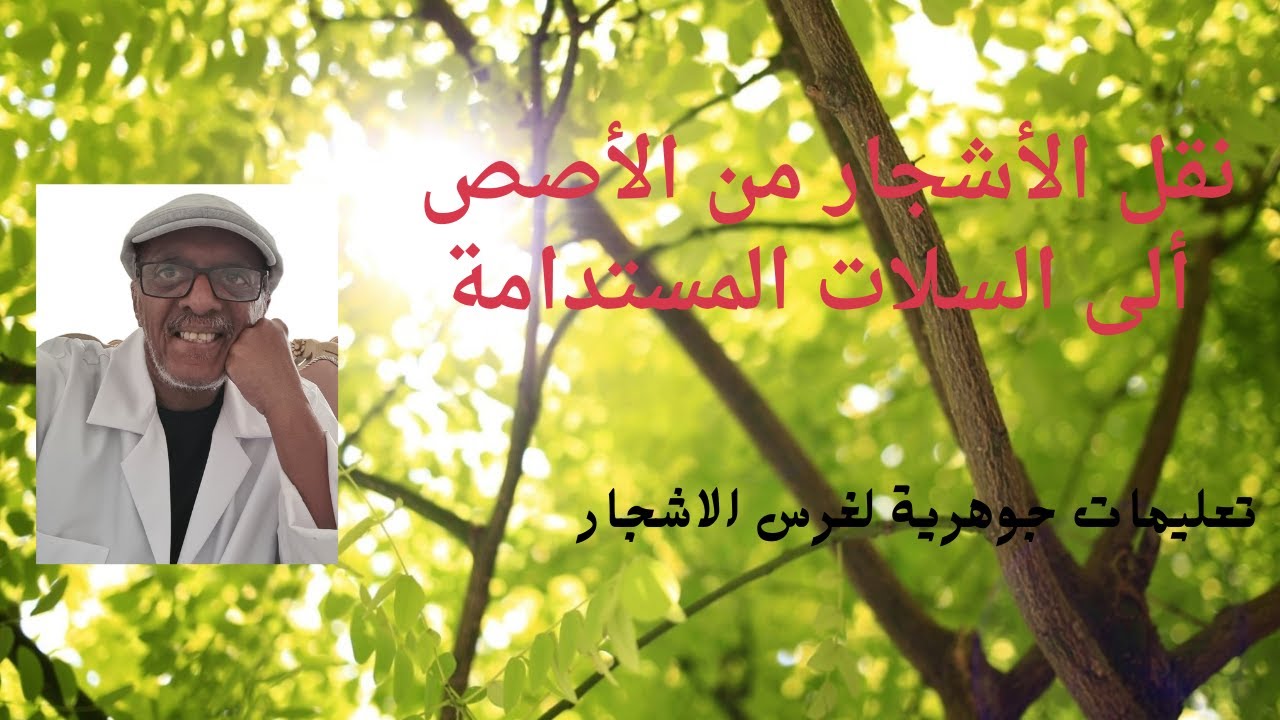 نصائح لنقل النباتات من الاصص للسلات الزراعية - YouTube