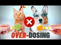 2 Nutrients You Should Never Over-Dose To Your Pet