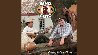Video thumbnail of "Gino & Geno - Arrependido"