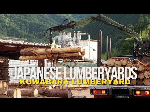 Video: Ce miroase a lemnului de hinoki?