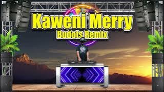 Kaweni Merry Budots Remix (Play Alan Walker) Ft.  Dj Jhanzkie 2023