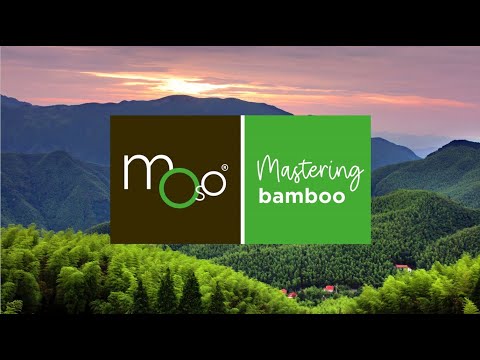 Why MOSO bamboo products | MOSO Mastering bamboo