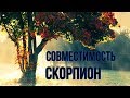 Совместимость знака Скорпион