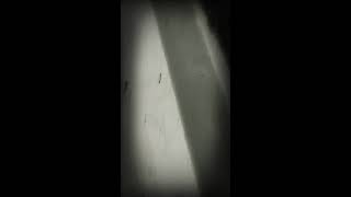 Global Grover End Credits