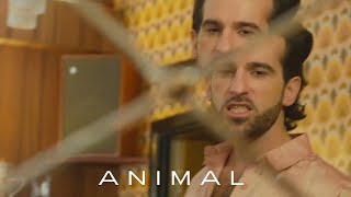 King Charles - Animal (Official Video Visualiser)