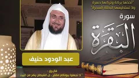 سورة البقرة(بدون اعلانات)كاملة/عبدالودود حنيف surat al baqarah(NoAds) Abdul Wadud Haneef