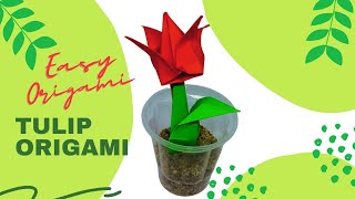 How to make Tulip origami?|| Origami Bunga Tulip
