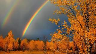 No Use For A Name "chasing rainbows"