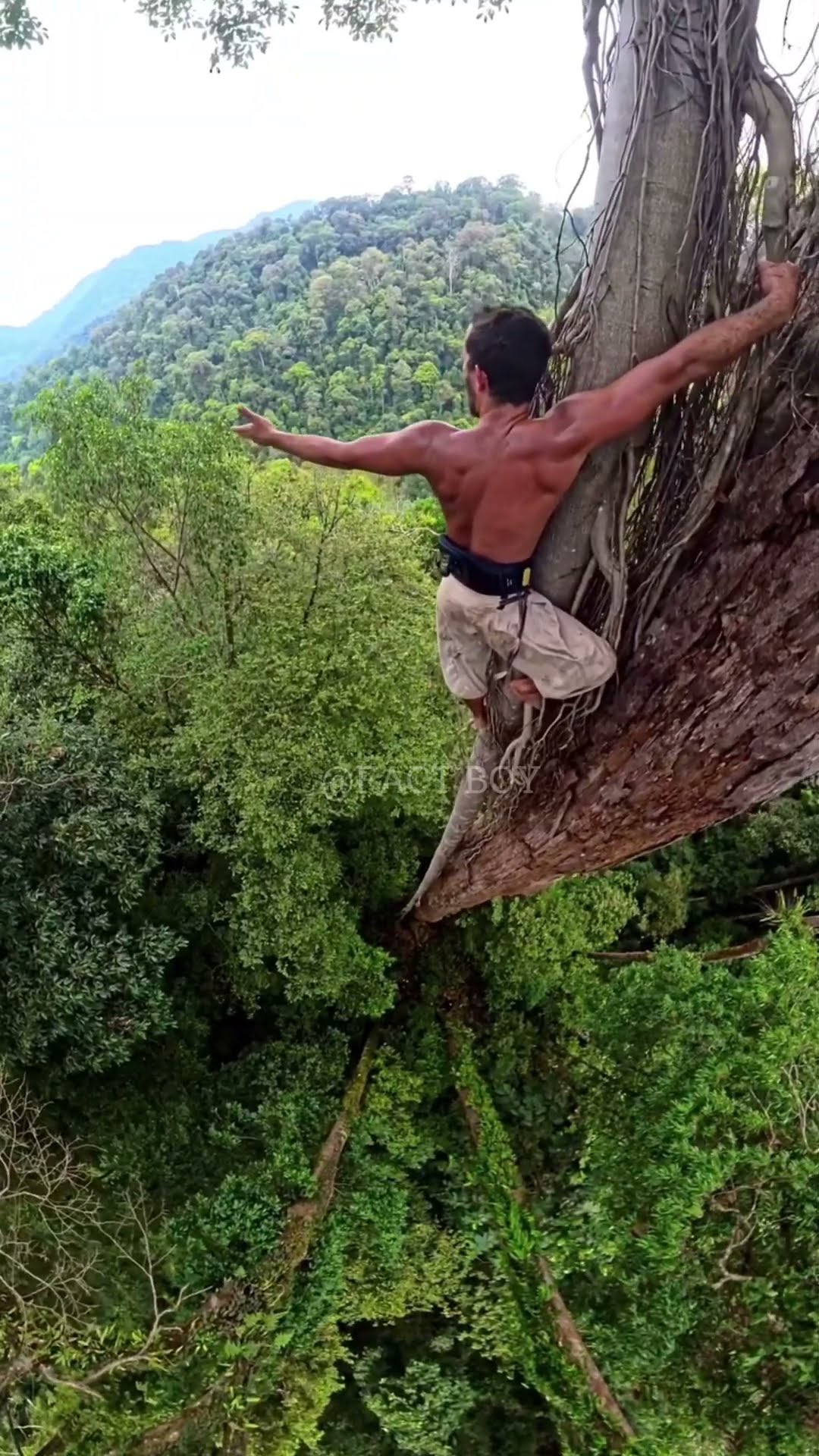 Tree Climbing Challenge #shortvideo
