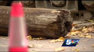 Full Public works employees unearth artifacts from city's past News