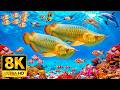 Underwater Tropical Fish, Coral Reefs — Marvel at Sea Animals in The Best 8K UHD Aquarium