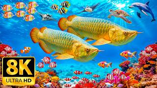 Underwater Tropical Fish, Coral Reefs — Marvel at Sea Animals in The Best 8K UHD Aquarium
