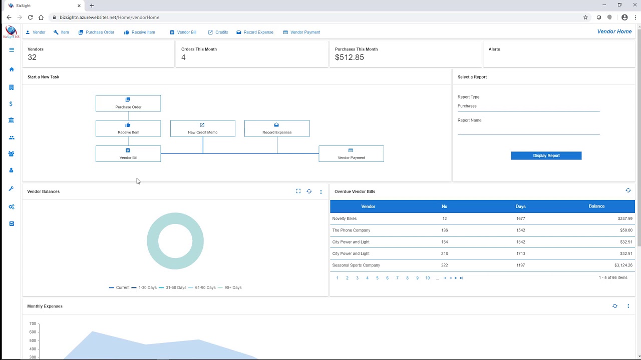 bizsight-365-tracking-recording-expenses-youtube