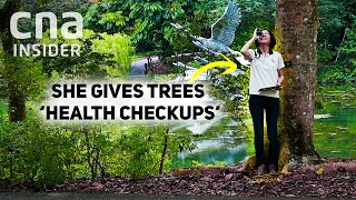 How Tree Doctors Keep Singapore’s 2 Million Urban Trees Healthy