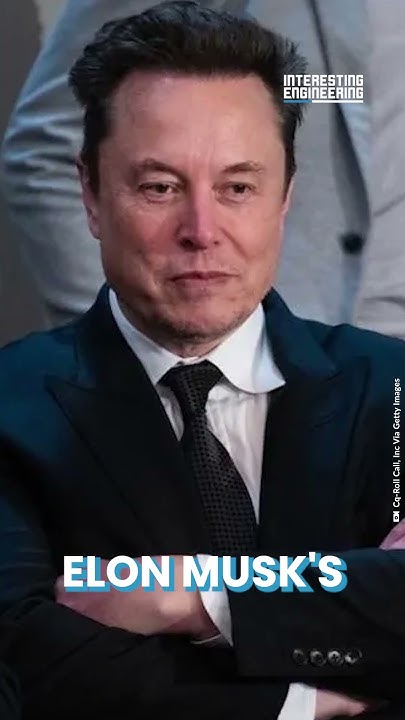 Elon Musk and the Government Efficiency Commission - YouTube